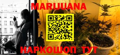 прущие грибы Балаково