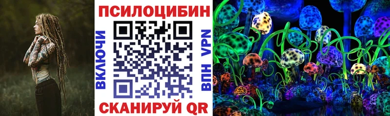 хочу   Великие Луки  ОМГ ОМГ   Псилоцибиновые грибы мухоморы 