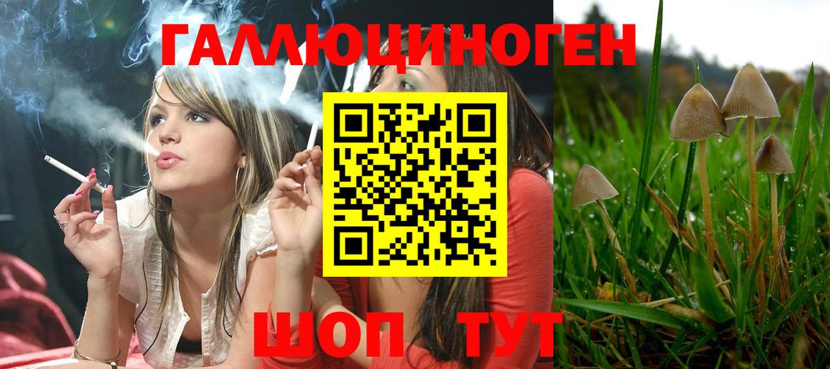 Великие Луки  сколько стоит  Вход с VPN  Галлюциногенные грибы Magic Shrooms 
