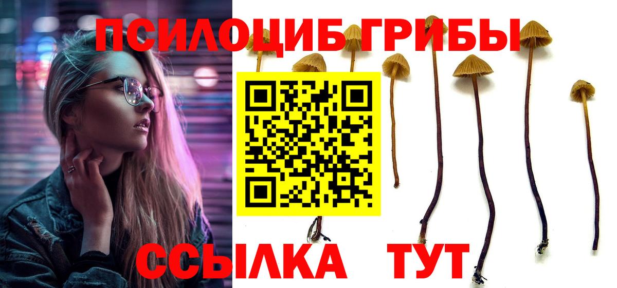 Псилоцибиновые грибы GOLDEN TEACHER Великие Луки